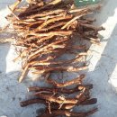 송담1로 이미지