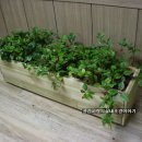 부흥중학교 앞 이미지