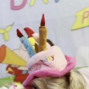 보라펫유치원 네이버블로그