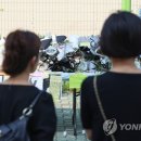 서이초등학교 이미지