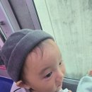 행복드림종합사회복지관 | 25.10.31 부평중부종합사회복지관. 행복만들기 바자회에 다녀온 후기!!!