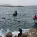 영랑동 해안방파제 이미지