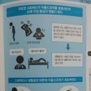 자율신경계 - 원인 모를 신체이상 이미지