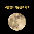 밝은행정사사무소 이미지