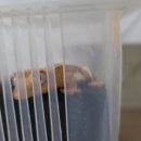 태은환경 이미지