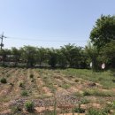 왕궁남초등학교 이미지