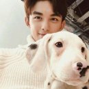 결혼개방소통운동 | 2. 세계적 맥락에서 본 남성성의 변화