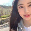 일두 손짜장 이미지