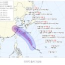 새봄온누리약국 이미지
