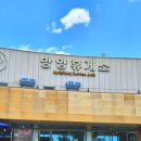 망양주유소 이미지