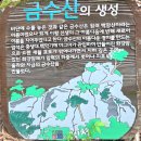 고진영2 이미지
