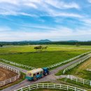 풍성한목장 이미지