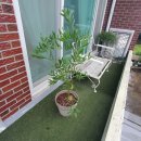 별장행복펜션민박 이미지