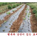 한일농자재마트 이미지