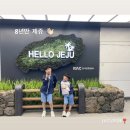SK렌트카 남원영업소 | 이번 결혼기념일도 제주도에서 보내기로 했다.(제주 여행준비)