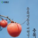영동 - 중구 을지로11길 29 | 영동