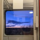 자유시장(왕만두 앞 버스정류장) | 프라하 부다페스트 9박 11일 연말 연시 자유여행 후기 및 비용(항공권/기차/숙소/식대/교통편/기타)