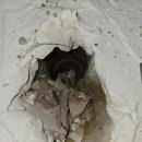 산본로386번길 이미지