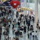 주효 카카오 검색결과