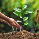 아리솔태권도 이미지