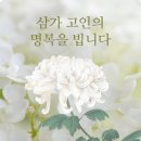 매봉육효 저자 【 故안성훈님 】 소식 이미지