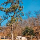 캠프그라운드 화우 | 안성 캠핑장 캠프그라운드 화우 B15 사이트 후기, 경기도 키즈 캠핑 추천