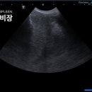 청라호수동물메디컬센터 이미지