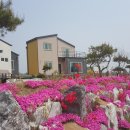 (급) 충주전원주택33평 남한강조망우수 골프8학군 골프빌리지 가격확~ 다운 이미지