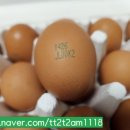 농업회사법인 한빛스마트팜 이미지