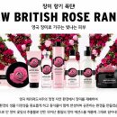 더 브리티쉬 이미지