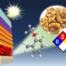 태양식품 이미지
