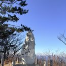 2026. 6. 27(토) 경상북도 울진군 응봉산 정기산행 신청(오전 6시 출발) 이미지