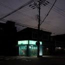 대전 홍도동 애견용품, 24시 무인 멍냥의민족