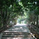 오동도매표소 이미지