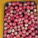 행복이 넘치는 강 펜션 이미지