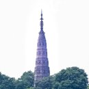 서호축산 이미지