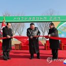 성대농장 연합뉴스TV