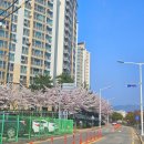 천안천9길 이미지