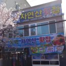 동백자연산횟집