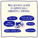 룹(Loop) 드림 이어플러그 내돈내산 한 달 사용 후기 (예민러 여행필수품)