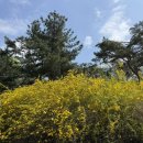 캠프 | [KB ITYL] 네트워크 캠프 후기