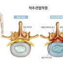 필라테스바이줄리