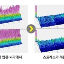 5분에책1권다정학원