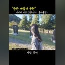 개삼각 이미지