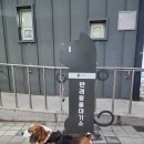 경포해변중앙통로 이미지