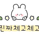 이영수 고양이 병원 이미지