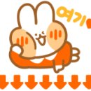 야나기참치 이미지