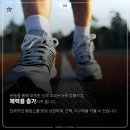 흑룡합기도 이미지