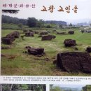 문우약국 Daum카페