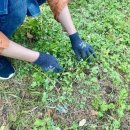 심원농장 이미지